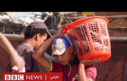 وباء كورونا "نعمة" للصيادين العراقيين