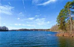 بالصور.. بحيرة فرجينيا المذهلة تعود من جديد وتستقبل سياح العالم