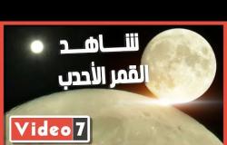 شاهد القمر الأحدب ينير سماء القاهرة بجواره كوكب زحل