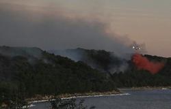 حرائق غابات فرنسا تأتي على 500 هكتار في 3 ساعات