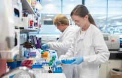 جامعة كمبردج: تجارب لقاح فيروس كورونا في الخريف