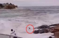 بالفيديو.. صورة عروسين على شاطئ البحر تنتهي بكارثة