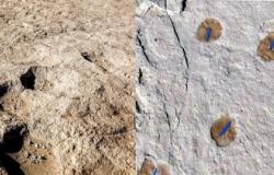 اكتشاف آثار أقدام متحجرة لإنسان تعود لأكثر من 120 ألف سنة شمال المملكة