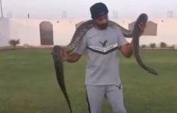 شاب سعودي يمتلك 100 نوع من الثعابين.. ويربي التماسيح والذئاب