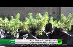 مبادرة لزراعة 4 ملايين شجرة بالجزيرة السورية