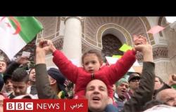 استفتاء الجزائر: مشاركة محدودة تثير تساؤلات بشأن ملامح المشهد السياسي