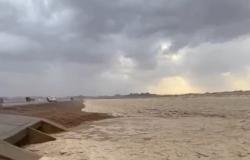 بالفيديو.. أمطار غزيرة تُجري أحد الشعاب جنوب مدينة حائل