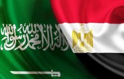 علاقات الخليج ومصر التاريخية فوتت الفرصة على أعداء الأمتين العربية والإسلامية