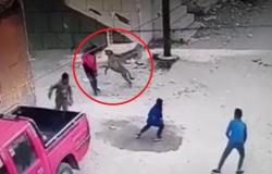 بالفيديو .. لحظة هجوم حيوان مسعور على أطفال بمصر