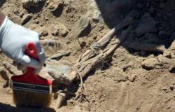 العراق.. العثور على مقبرة جماعية لـ 400 شخص غدر بهم "داعش"