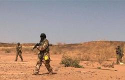 النيجر: مقتل 13 مدنياً في هجوم مسلح بمنطقة تيلابيري