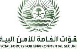 القوات الخاصة للأمن البيئي تضبط 3 مخالفين لنظام البيئة في مدينة الرياض