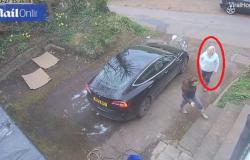 بالفيديو: غسلت السيارة ثم وقفت في المكان الخطأ.. شاهد ما حدث لها