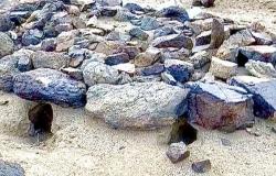 مقبرة آل الرومي بـ "ترج بيشة" من دون أسوار والحيوانات الضالة تمتهن حرمة الأموات