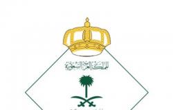 "الجوازات": مستمرون في تسليم الجواز السعودي خلال العيد "للحالات الطارئة"