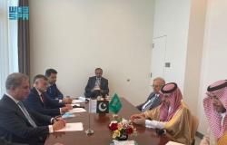 وزير الخارجية يلتقي نظيريه الباكستاني والمالديفي