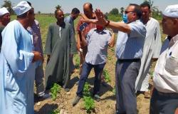 «زراعة الفيوم»: استمرار التصدي للتعديات على الأراضي الزراعية في المهد (صور)