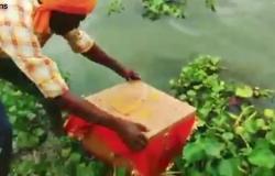 فيديو غريب.. شاهد ما عثر عليه ملاح هندي في صندوق بأحد الأنهار