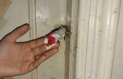 غلق أحد المراكز الخاصة للغسيل الكلوي لوجود مخالفات في حملة نفذتها ببني سويف
