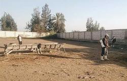 محافظ كفر الشيخ يوجه بتطهير وتعقيم أسواق الماشية
