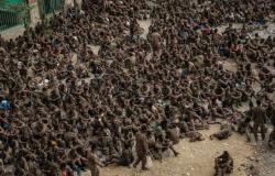جبهة تحرير تيغراي توافق على وقف إطلاق نار مشروط مع الحكومة الإثيوبية