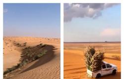 "الأمن البيئي" ينقذ الصحراء ويعيد لها الحياة.. و"اليوسفي": بيئتنا لا تتحمل الرعي