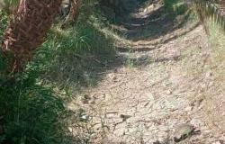 نقص مياه الرى يهدد 1000 فدان بالجفاف والبوار بقرية الحميدات بإسنا جنوب الأقصر