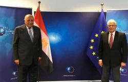 وزير الخارجية يبحث مع «الاتحاد الأوروبي» أزمة سد النهضة والوضع في ليبيا