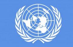 في بيان صحفي.. الأمم المتحدة تُصدر إطارًا عالميًّا جديدًا لإدارة الطبيعة حتى عام 2030 ‏