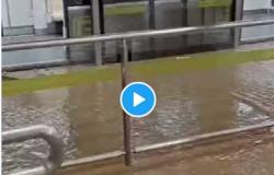 لحظات مرعبة.. مياه الأمطار تغمر عربات مترو مكتظة بالركاب في الصين (فيديو)