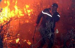 ارتفاع حصيلة قتلى حرائق الغابات في الجزائر إلى 42 شخصًا