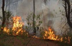 اندلاع حريق كبير في غابة الناظور ببنزرت شمال تونس