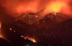 مصرع 7 أشخاص في حرائق الغابات بالجزائر