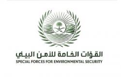 "الأمن البيئي": السيطرة على "أسد" في أحد أحياء مدينة الرياض