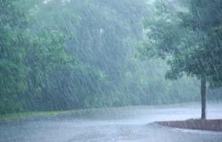 الوطني للأرصاد: أمطار غزيرة على عسير تتواصل حتى 8 مساء