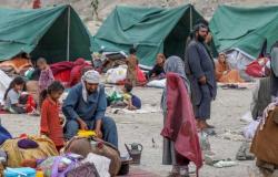 الأمم المتحدة تحذر: ثلث الشعب الأفغاني مهدد بجوع وشيك