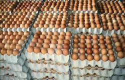 «الزراعة»: انخفاض سعر كرتونة البيض 5 جنيهات بعد تدخل الحكومة