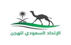 بدء التسجيل في كأس اللجنة الأولمبية العربية السعودية للهجن