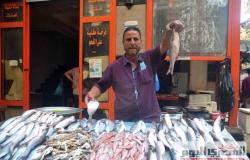 ارتفاع أسعار الأسماك في سوق العبور .. والجمبري بــ 460 جنيهًا
