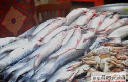 انخفاض أسعار الأسماك في سوق العبور .. والبلطي بــ 24 جنيهًا