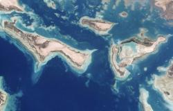 رائد فضاء ينشر صورة فضائية ويعلق: هذه الجزر المذهلة في السعودية