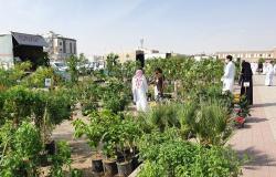 السعودية الخضراء تضاعف مبيعات البذور الزراعية