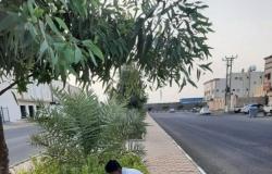 "بلدية العاقول" تطلق مبادرة لغرس 4000 شجرة سدر لتحسين المشهد الحضري
