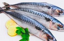 انخفاض أسعار السمك قشر البياض والجمبري والبلطي 10 جنيهات بسوق العبور