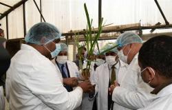 محافظ قنا يطلق إشارة البدء لموسم عصير القصب لعام 2022 بمصنع سكر قوص (صور)