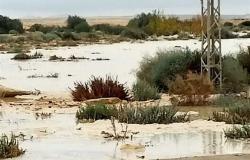 محافظ شمال سيناء يوجه بالاستفادة من مياه الأمطار والسيول