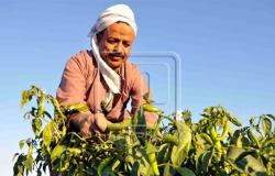 رئيس «التغيرات المناخية» يقدم نصائح مهمة للمزارعين بعد انتهاء موجة الصقيع