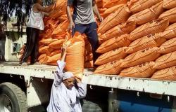 «زراعة الإسكندرية»: 2470 طن مخزون الأسمدة الآزوتية.. ونستقبل المحاصيل الصيفية دون شكاوى