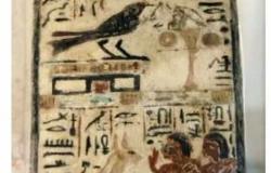 السنونو والنونو طيور قدسها المصري القديم.. باحث أثري يكشف السر