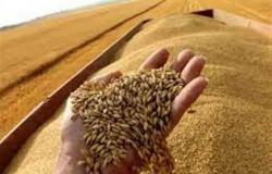 نقيب الزراعيين: الحافز الإضافي لسعر أردب القمح يشجع على زيادة الإنتاج (فيديو)
